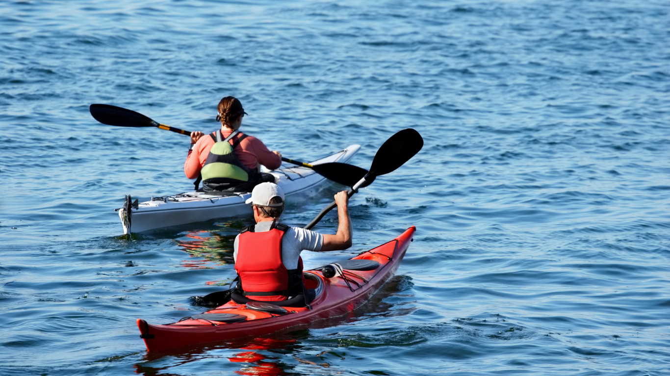 Kayaking activity in Kochi waters harbour cruise coastal Kerala