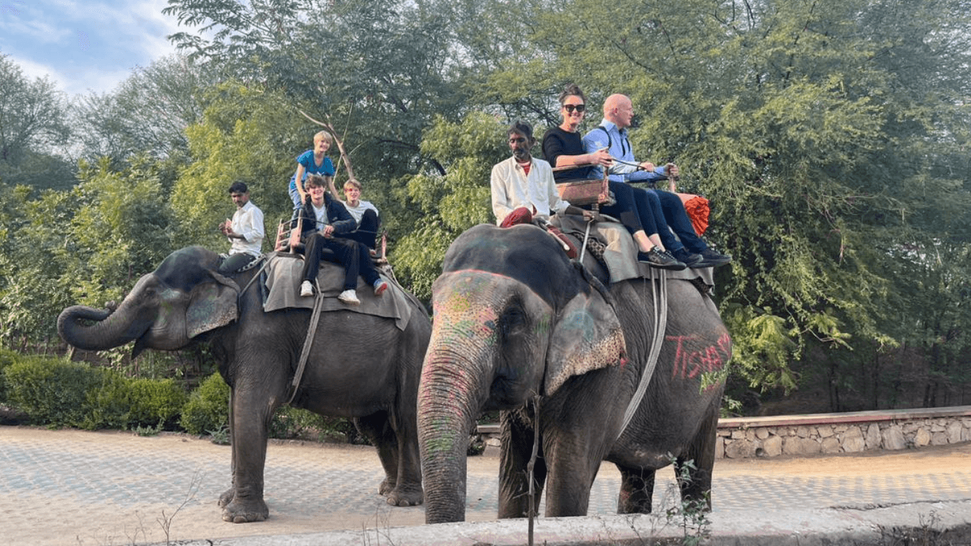 Group of international travelers enjoying a guided elephant ride experience in a natural heritage park in India.
