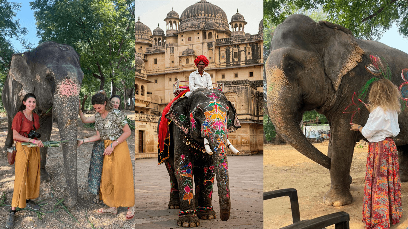 Visitors feeding and spending time with painted elephants at a heritage tourism site in India.