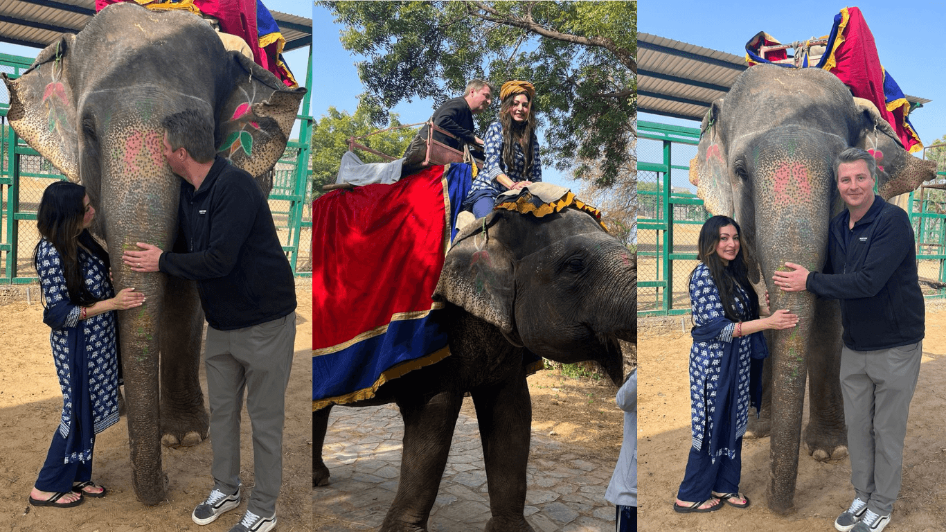 Tourists interacting with a decorated elephant and enjoying a traditional elephant ride experience in India.