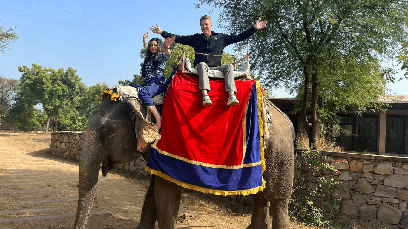 Tourists enjoying a traditional elephant ride experience in India, seated on a decorated elephant in a natural heritage setting.
