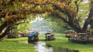 Goan backwater canal lined with tropical trees and traditional wooden boats