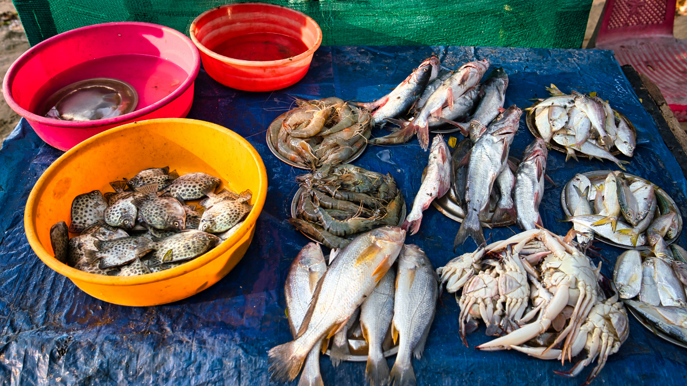 Fresh seafood market Fort Kochi local culture Cochin heritage tour experience