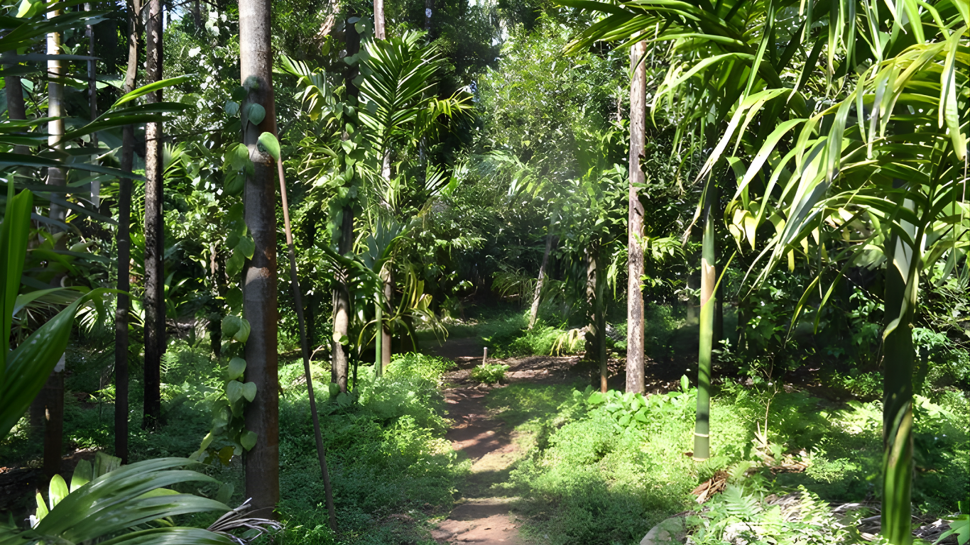 Mangalore City Tour