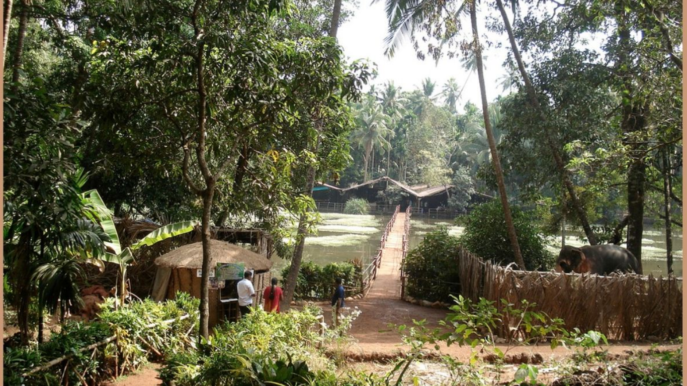 Entrance to a traditional Goan spice plantation surrounded by tropical greenery