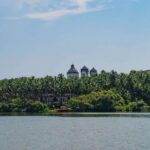 Scenic Goa backwaters with palm trees and river view