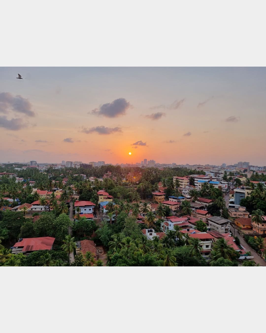 Sunset view of Mangalore city with palm-lined neighborhoods and coastal skyline